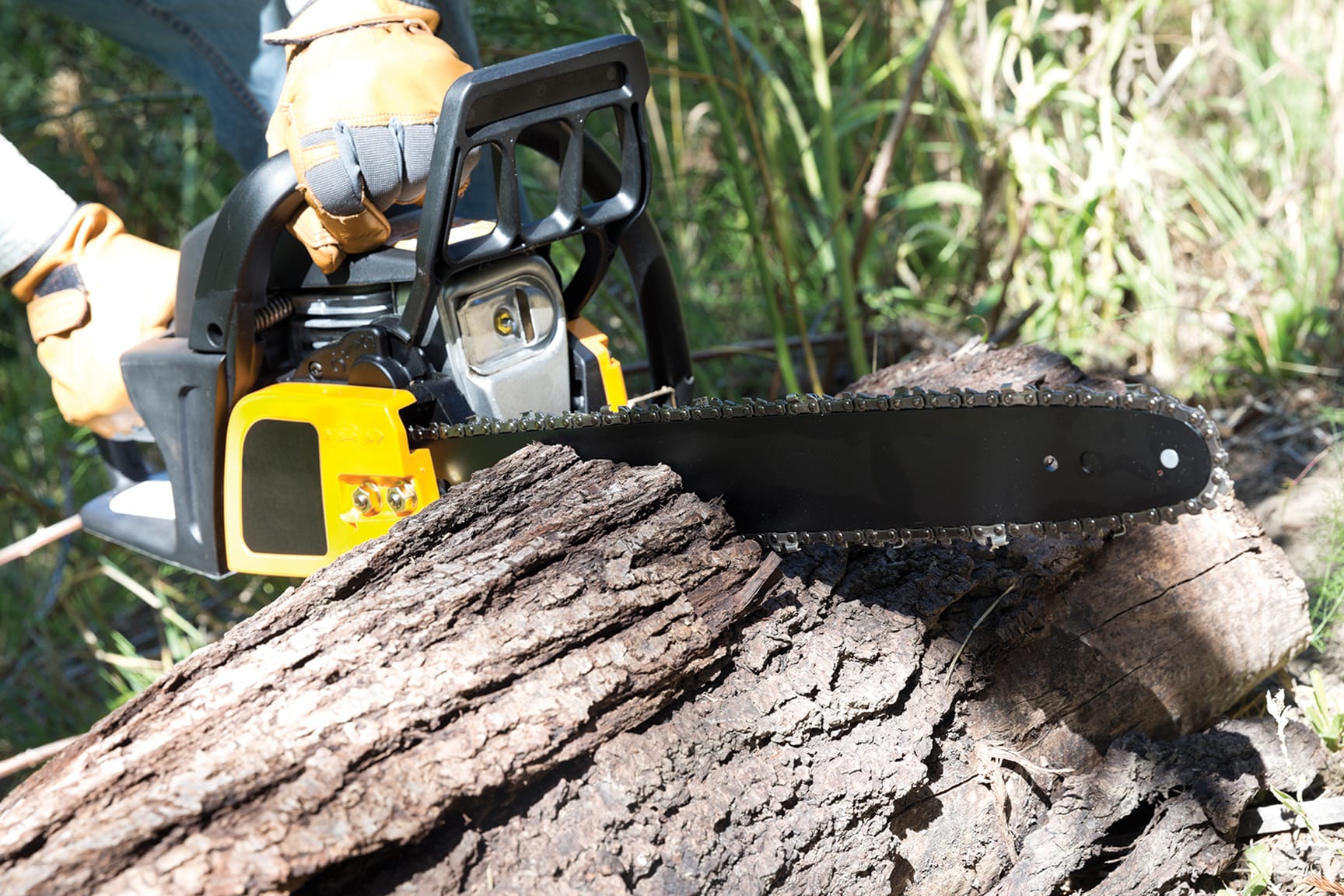 Puslinch Tract to temporarily close for tree maintenance