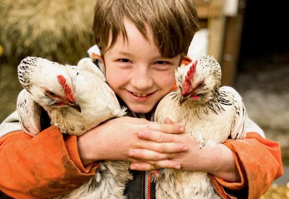 With school trips cancelled some local farmers offer virtual farm visits