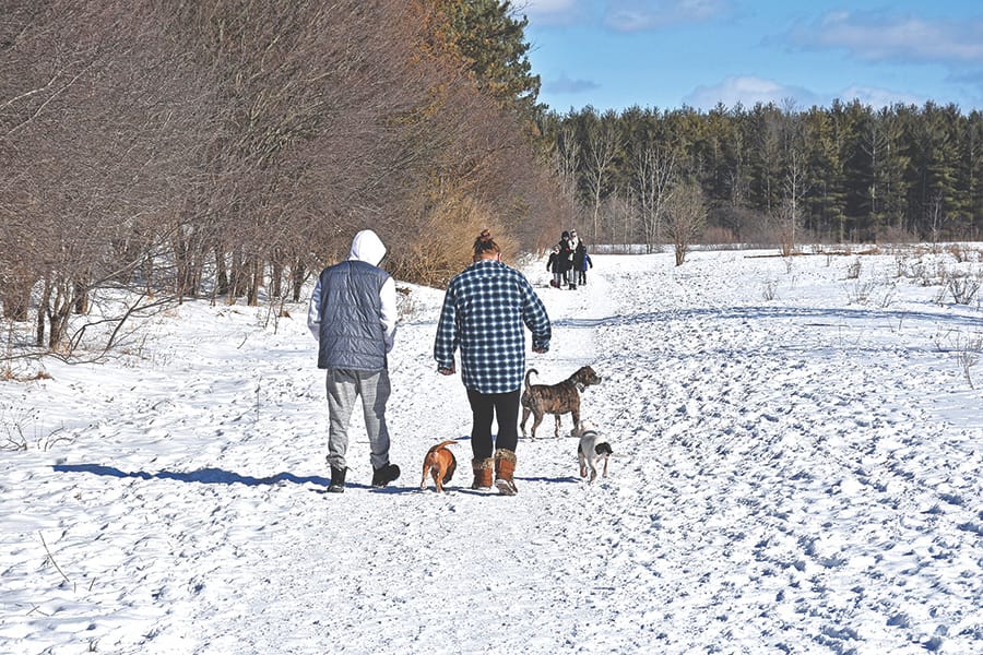 Making tracks at the Puslinch Tract Conservation Area