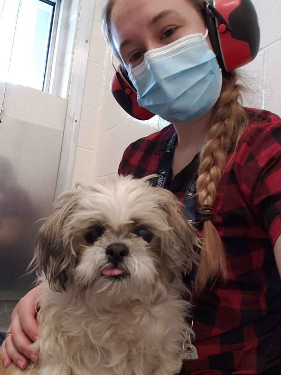 Guelph Humane Society gets creative during lockdown