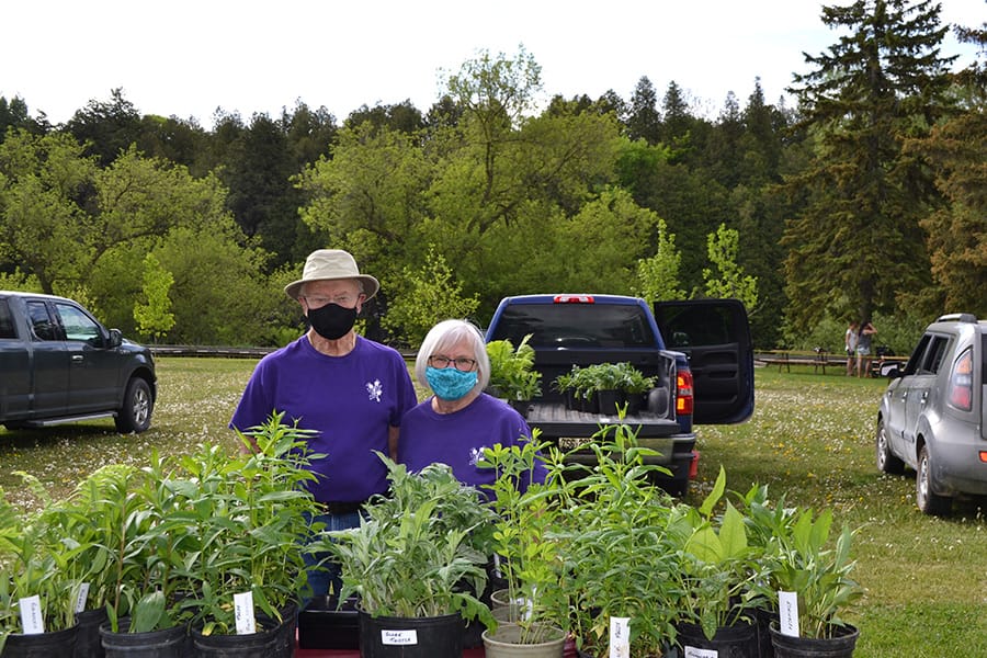 Elora Farmers Market opens in Bissell Park