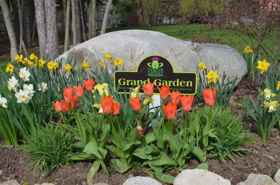 Grand Gardens program will proceed after hiatus