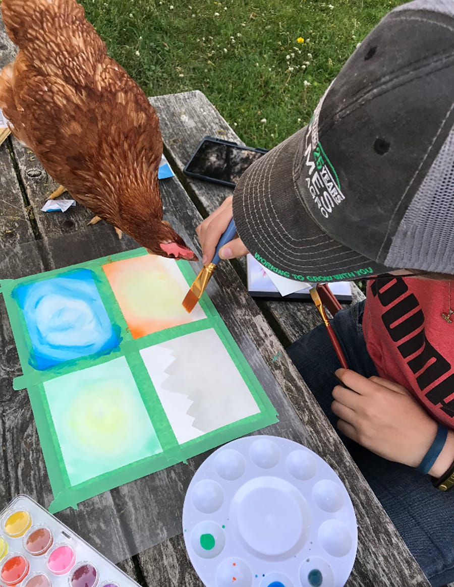 Wellington 4-H Club ruffles their feathers