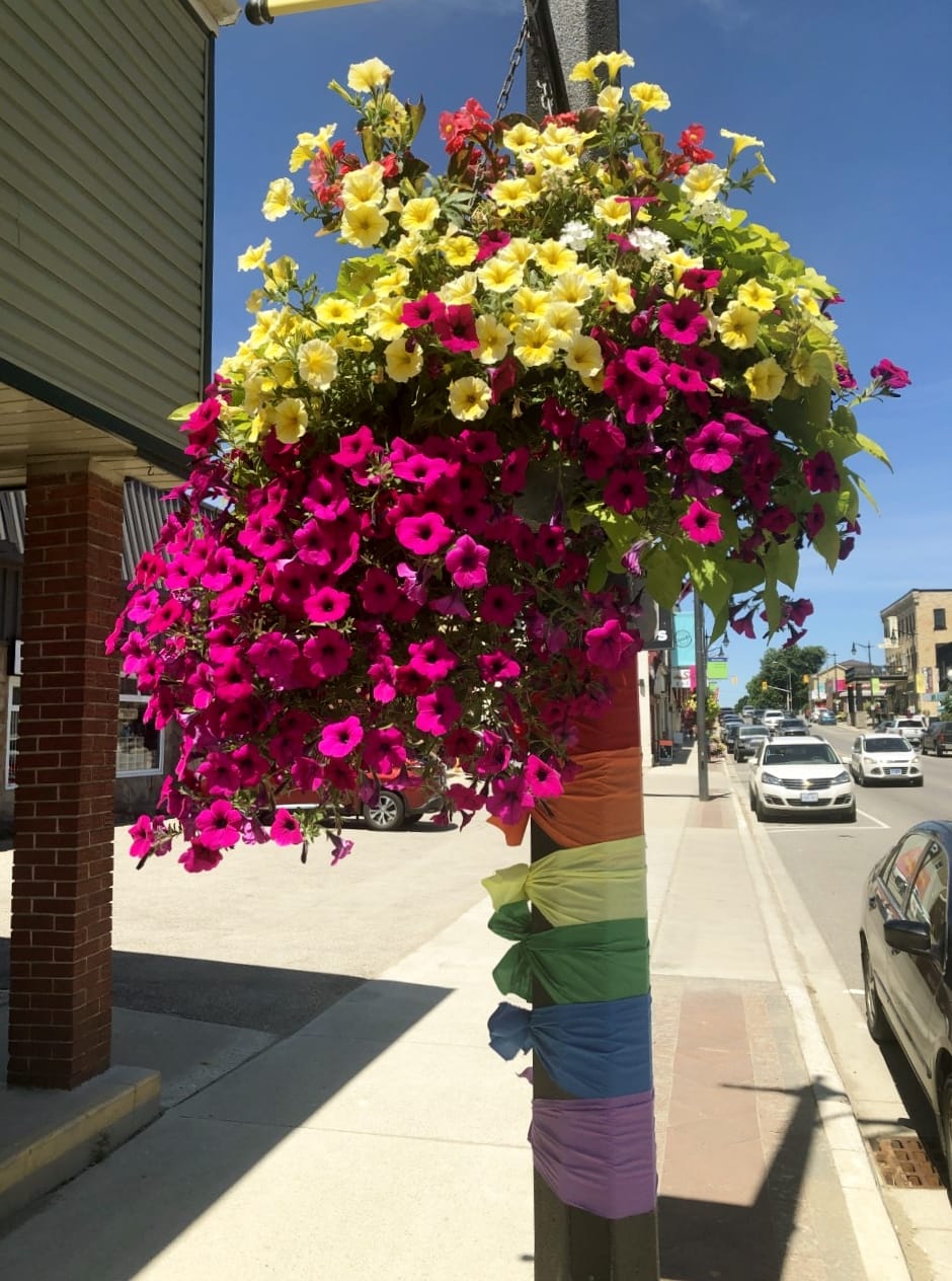 Minto Pride committee active in June