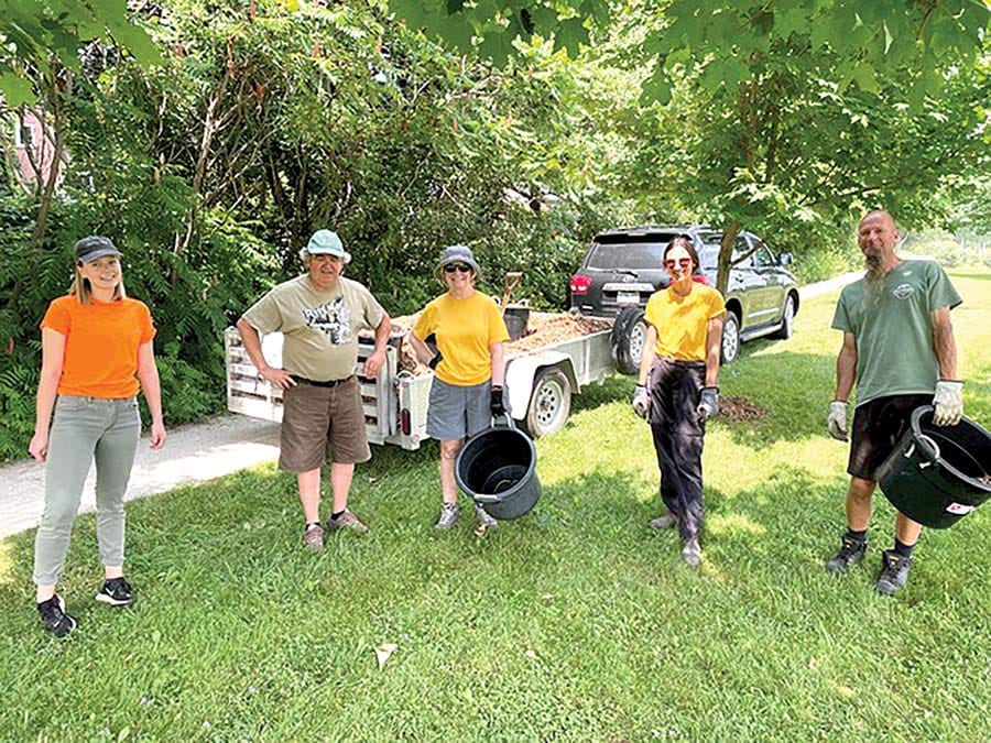Neighbourwoods protect young trees with mulch