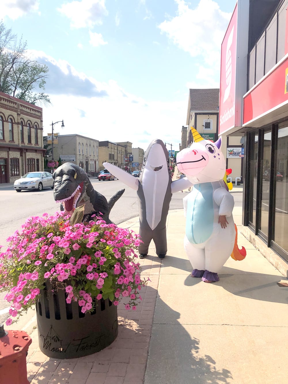 Acts of Kindness bring smiles to Mount Forest