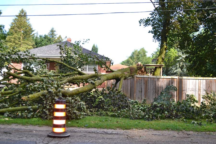 Storm damage in Elora caused power outage