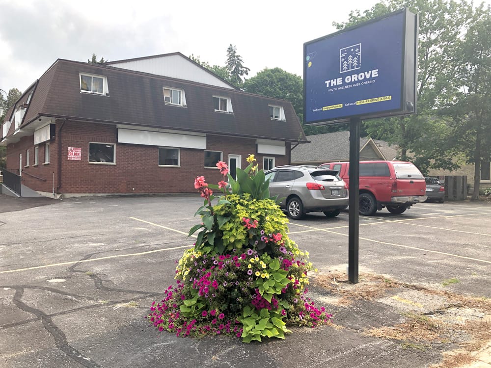 Youth hub set to host plant night