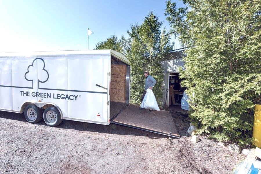 Wellington North to pursue neighbourhood tree planting program