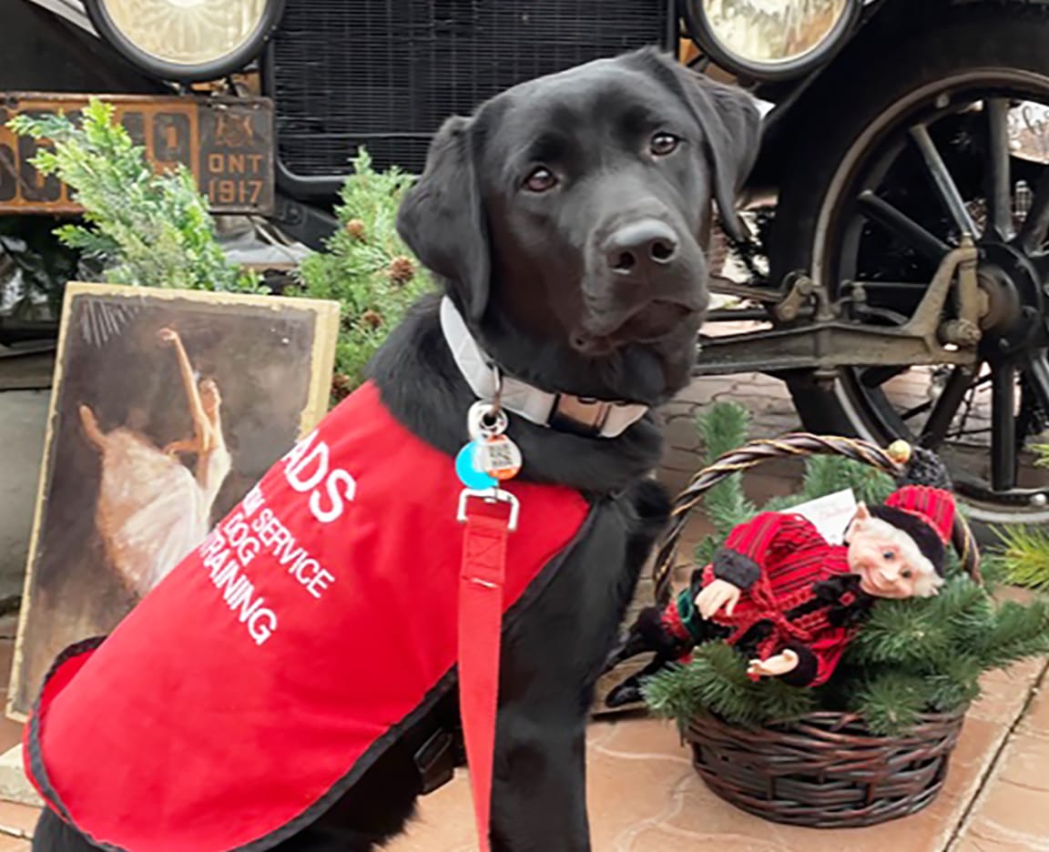 Students participate in charity contest, resident shares experience volunteering