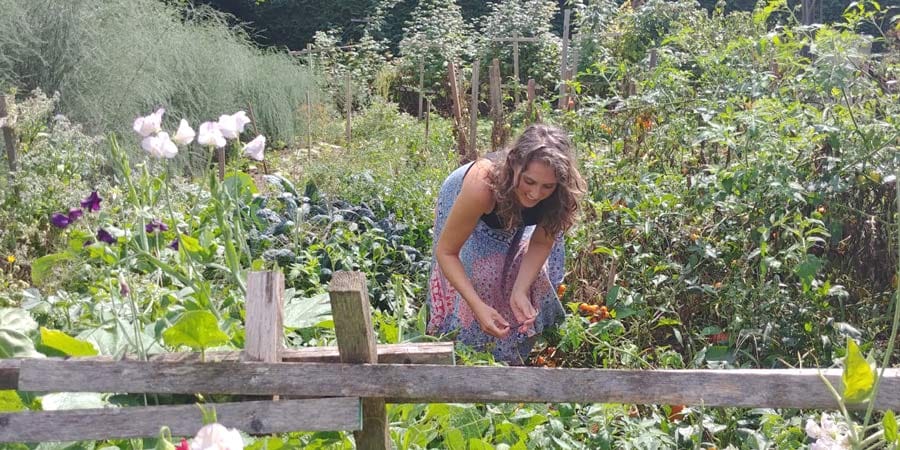 Gardening shows its seedy side at this time of year