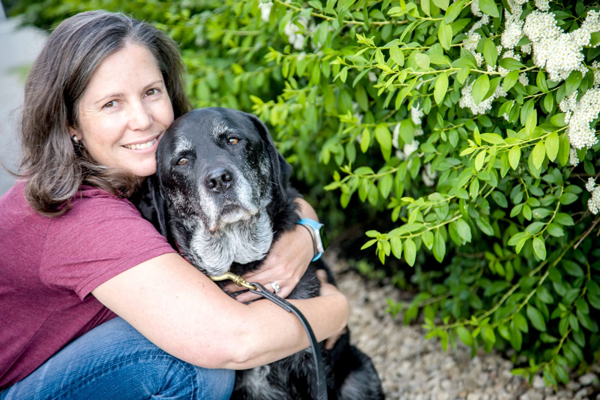 Ontario’s first mobile weight management veterinary clinic now on the road