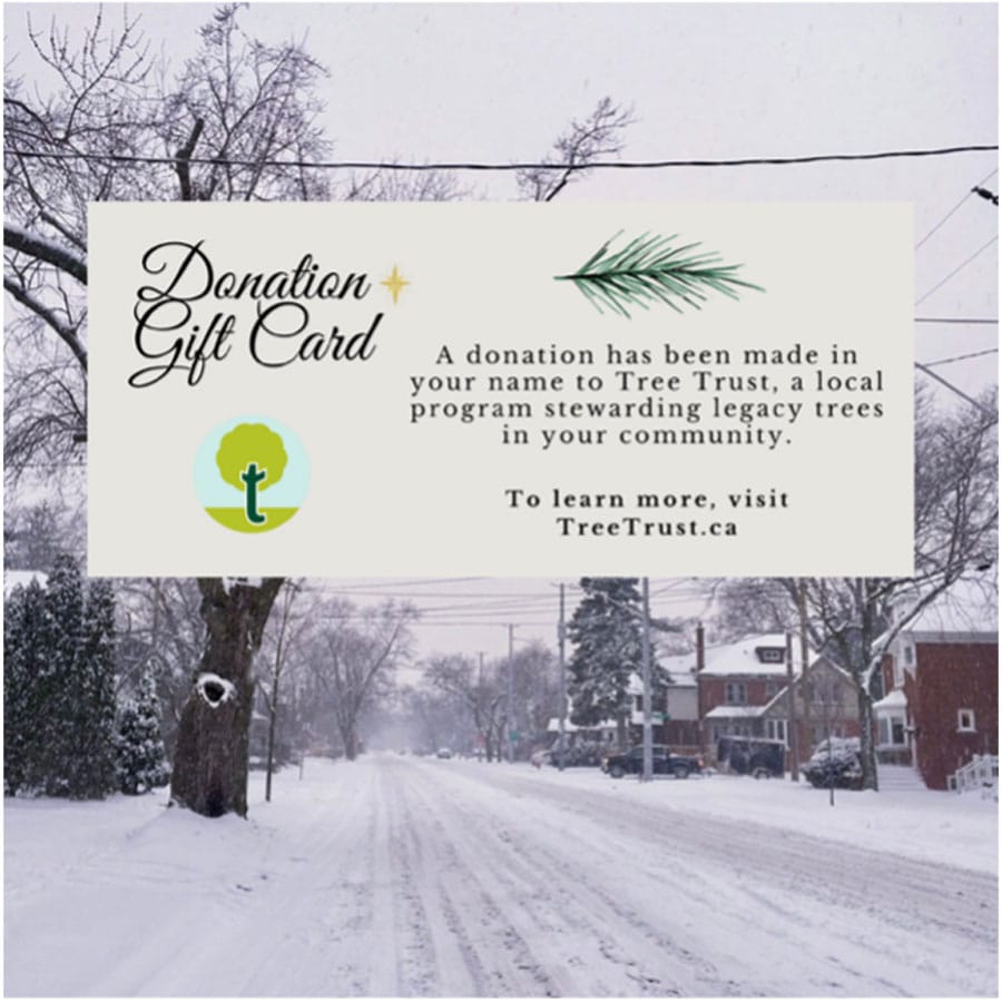 Tree Trust has a ‘green’ gift idea