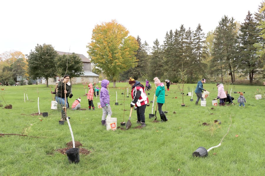 Trees for Mapleton growing community with every new planting