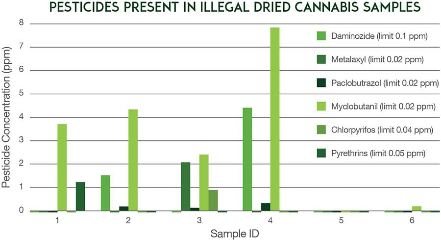 OPP: latest research shows high levels of chemicals, lower-than-advertised levels of THC in illegal cannabis