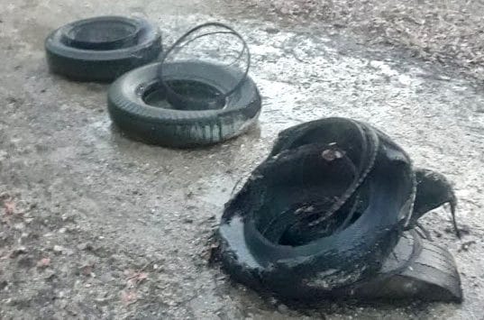 Palmerston woman charged with arson in fires on White's Junction Trail