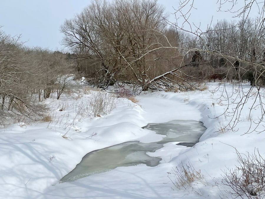 Scenic views on the Maitland River
