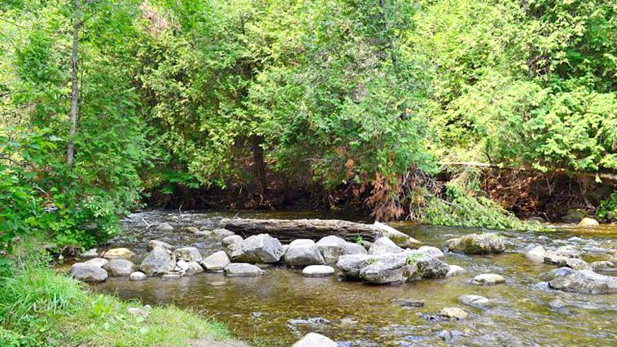 Coalition asks Peel council to support river monitoring program in response to Erin’s wastewater treatment plant