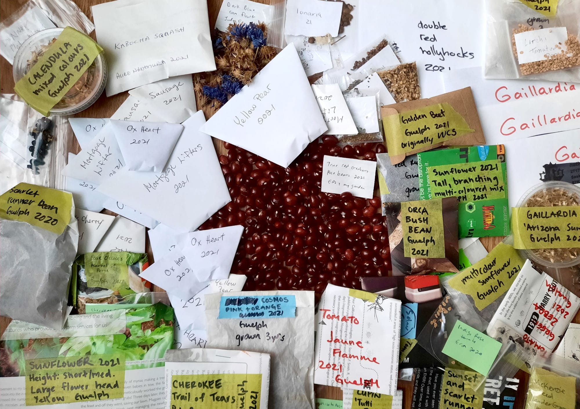 Erin Seed Library helps gardeners kick-off spring with Seedy Saturday this month