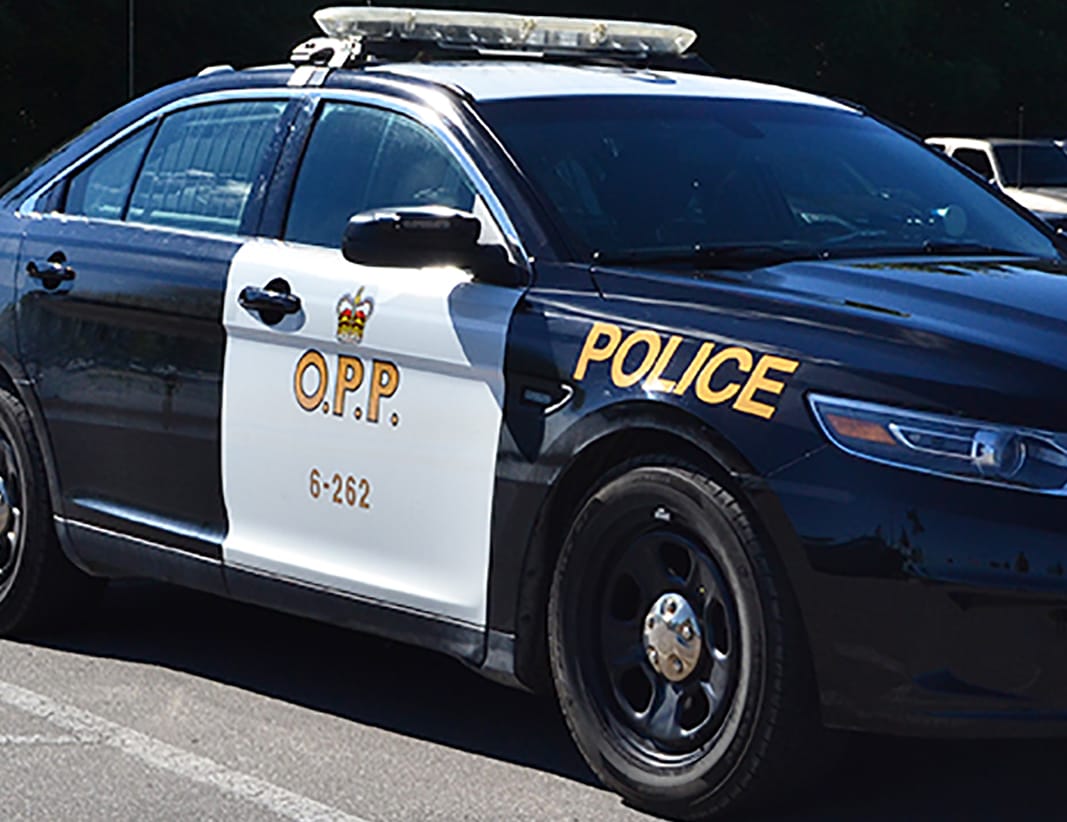 Guelph woman dead after being hit by pickup truck: OPP