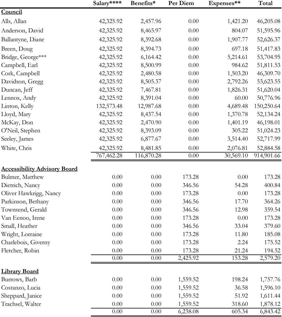 Remuneration report pegs pay for county council at $915,000