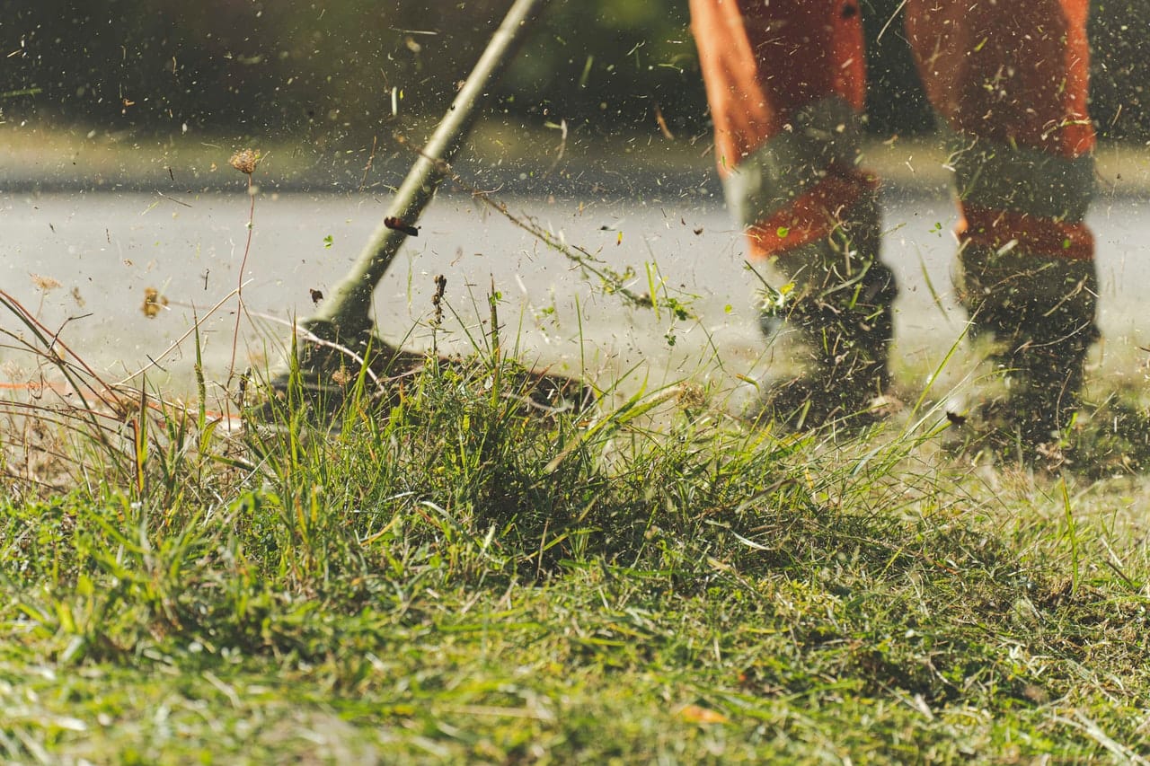 Township hiring new recreation staffer after Mount Forest landscapers retire