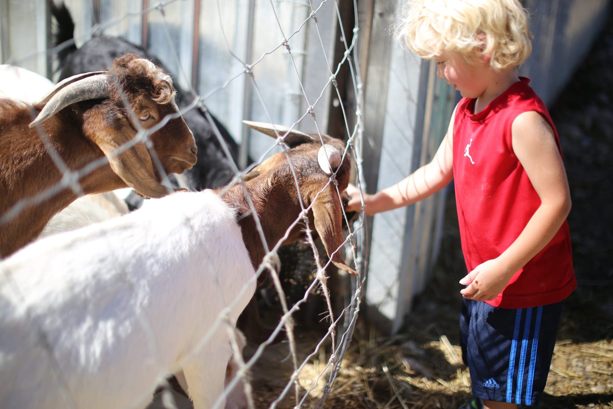 Local food, agriculture highlighted during the annual Spring Rural Romp