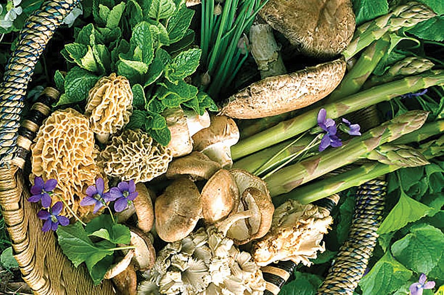 Foraging? Go where the wild things grow