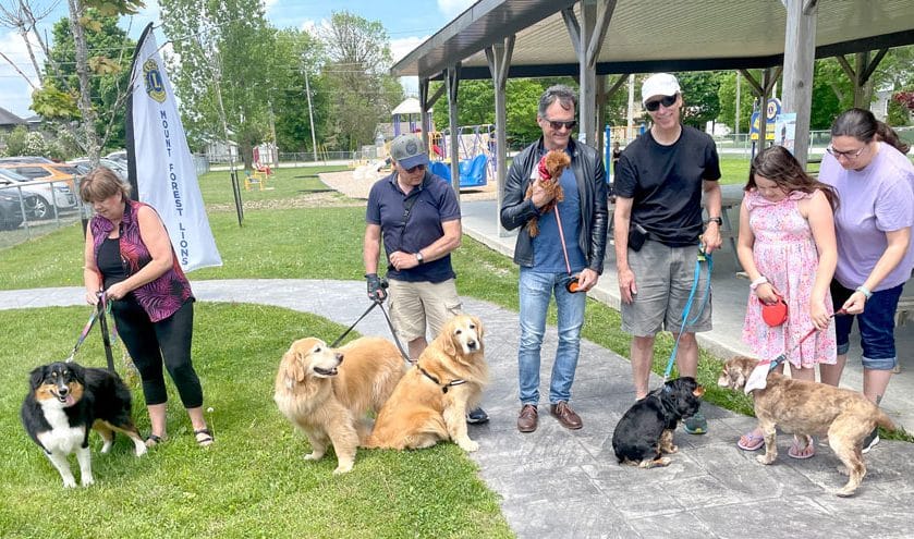 Walk for Guide Dogs raises over $4,400