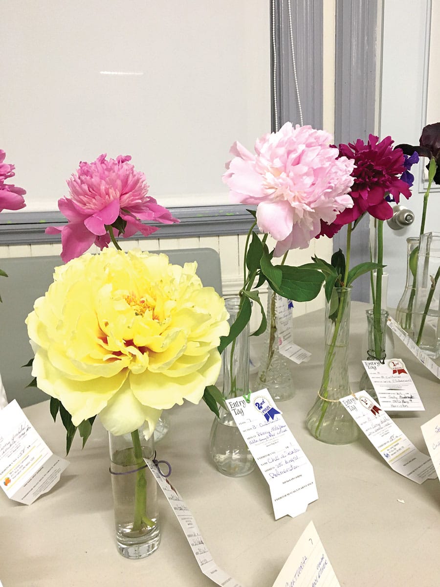 Harriston and District Horticultural Society held June meeting