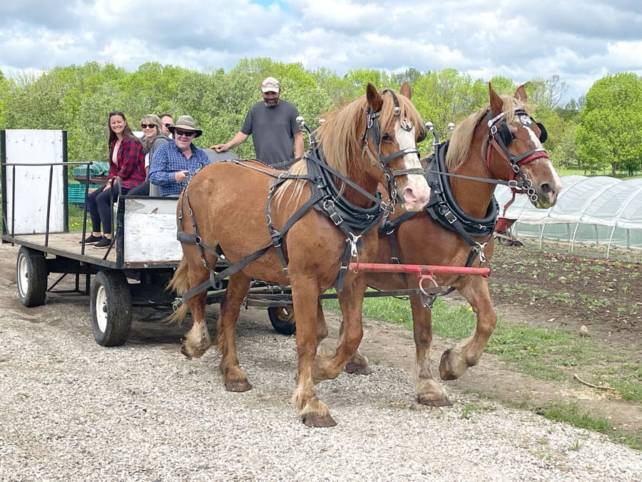 Spring Rural Romp welcomed visitors to farms and rural businesses