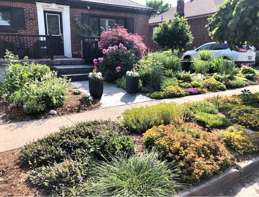 Sun, shade, part shade? What to plant where