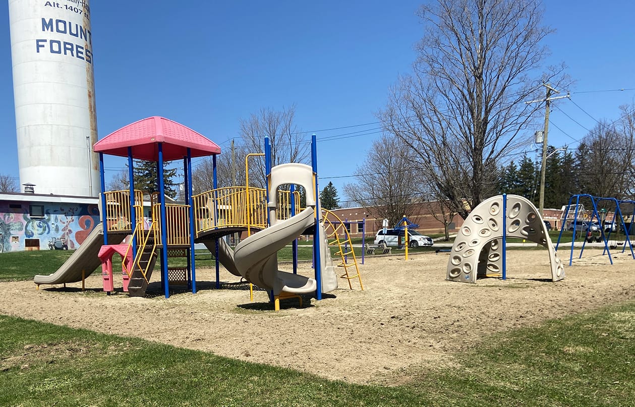 Lion Roy Grant playground reopens following accessibility improvements