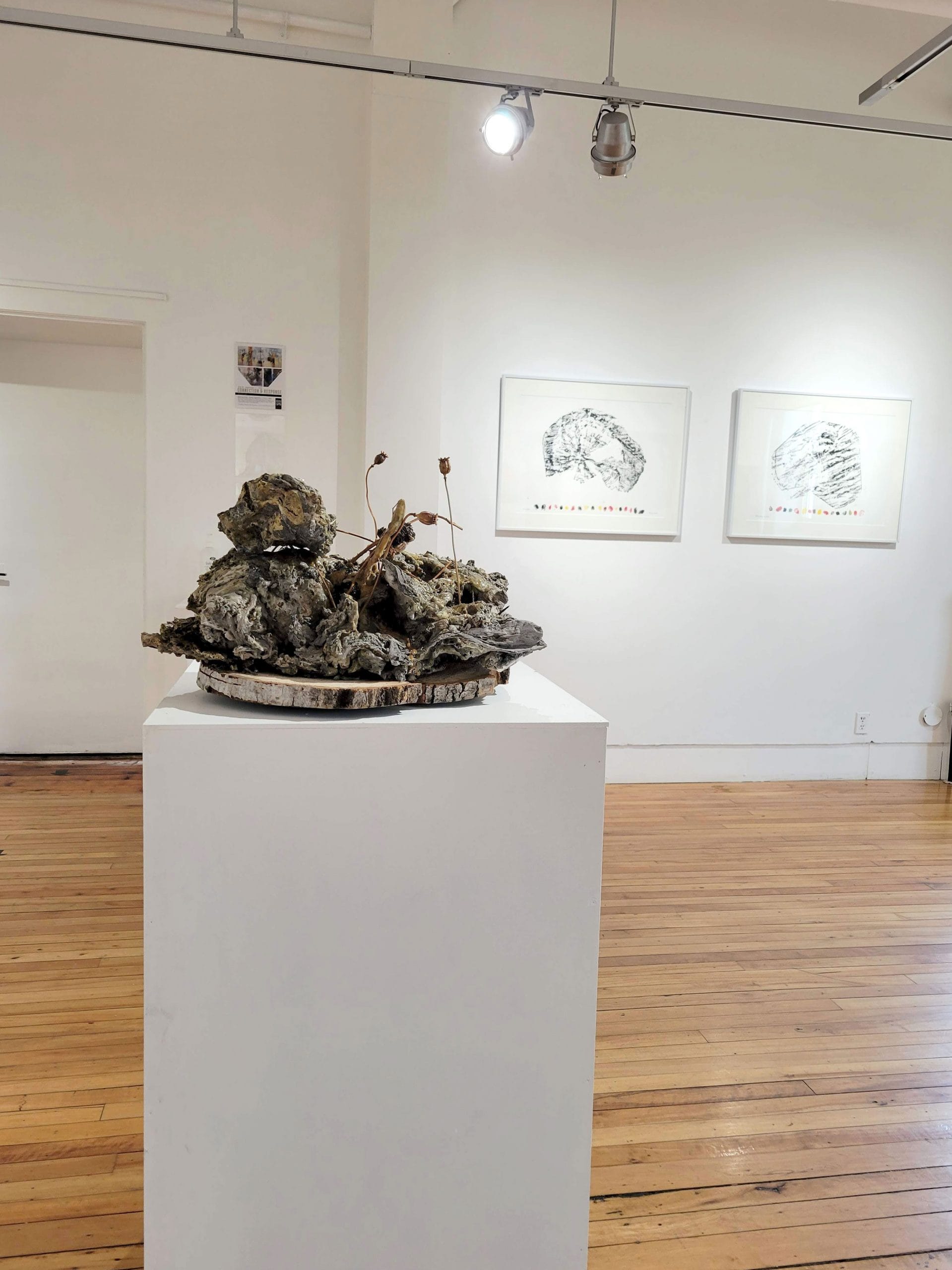 New gallery exhibition emphasizes importance of sense of connection