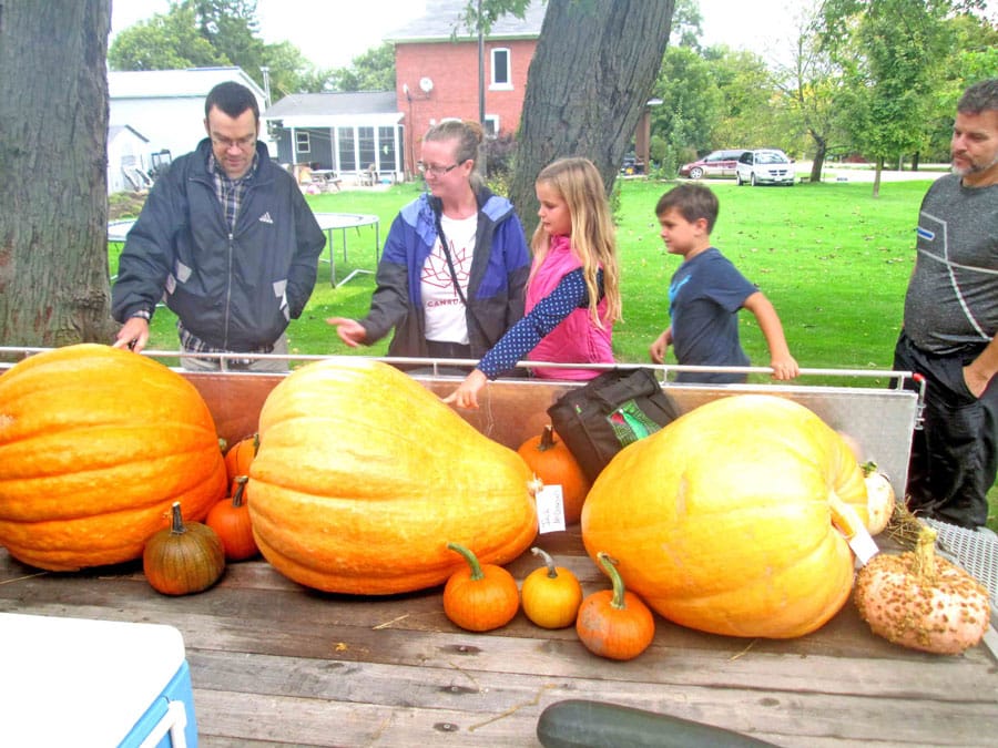 Metz Pumpkinfest this weekend