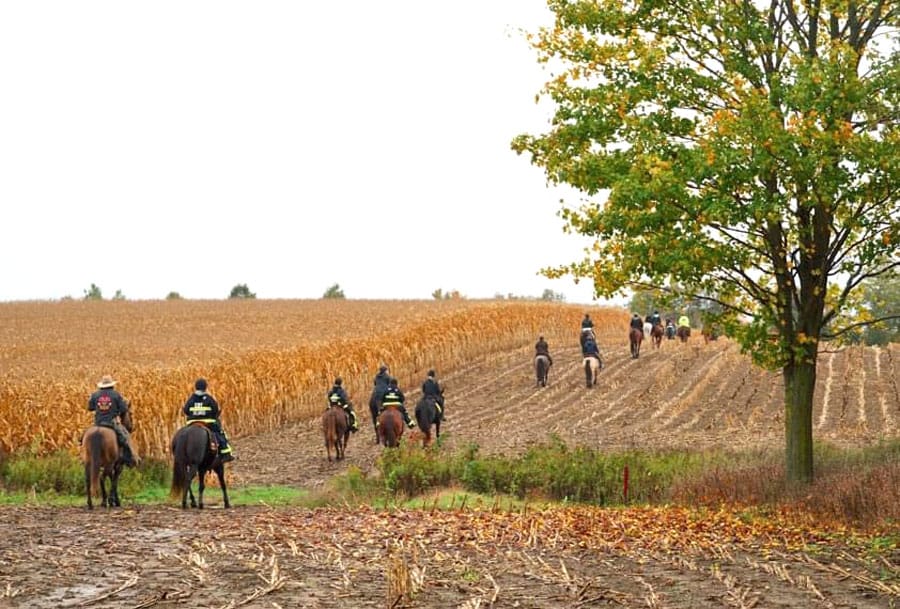 Hooves for  Hospice returns  for fifth year on  October 15