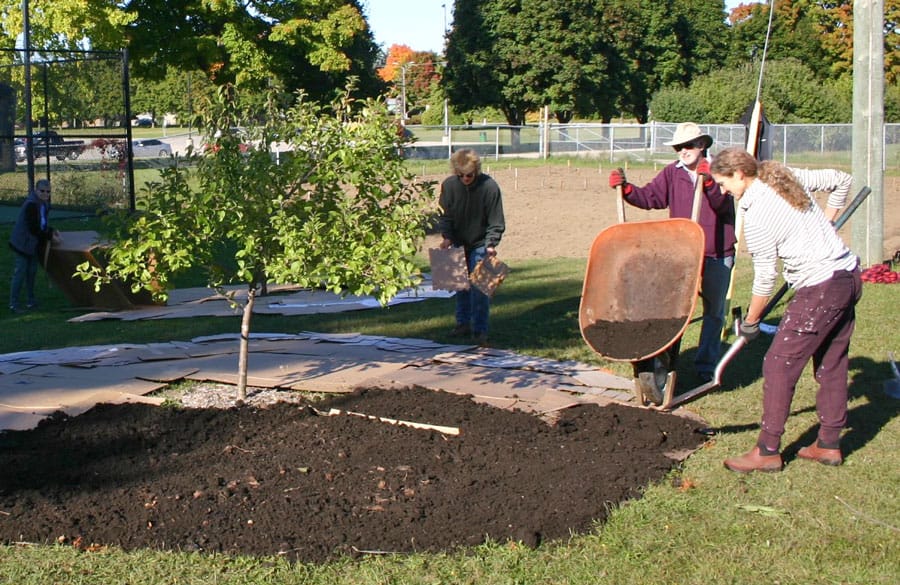 Food Forest Centre Wellington breaks ground at pilot site in Fergus