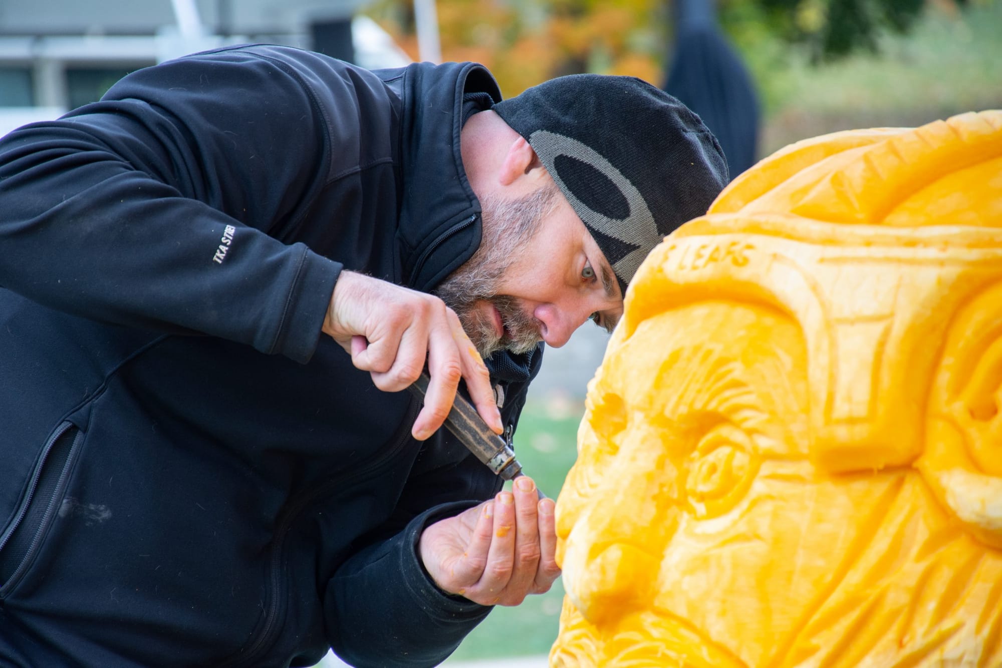 Pumpkin Day fun