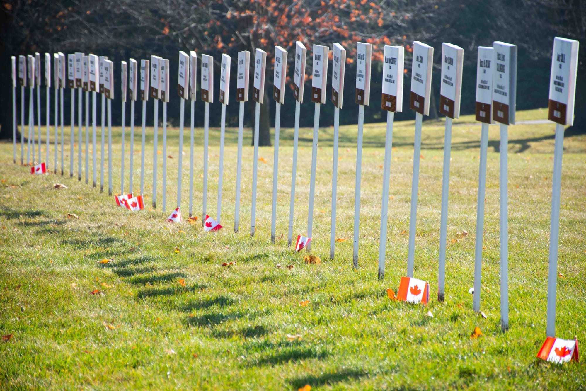 'We Will Remember Them' display an invitation to learn personal history of veterans