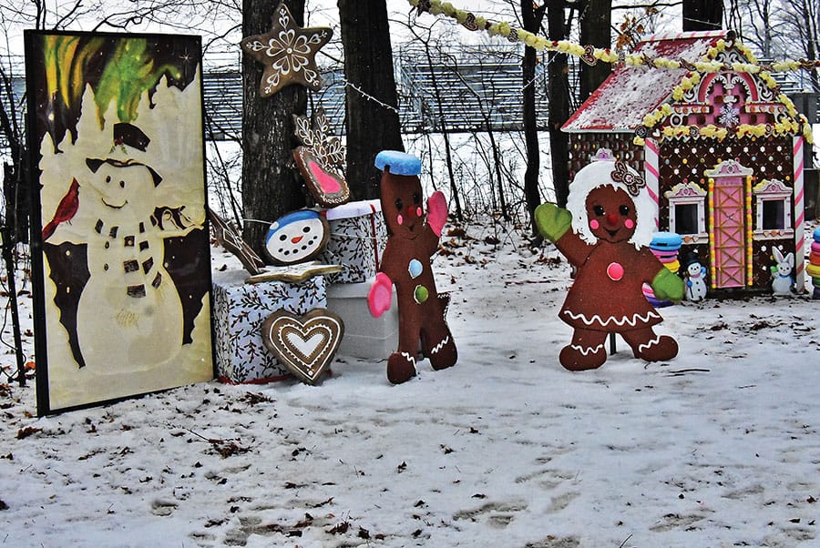 Enchanted Forest event in Fergus a unique winter experience