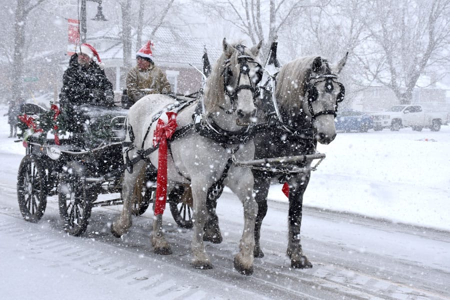 Peace on Earth theme of Alma Santa parade