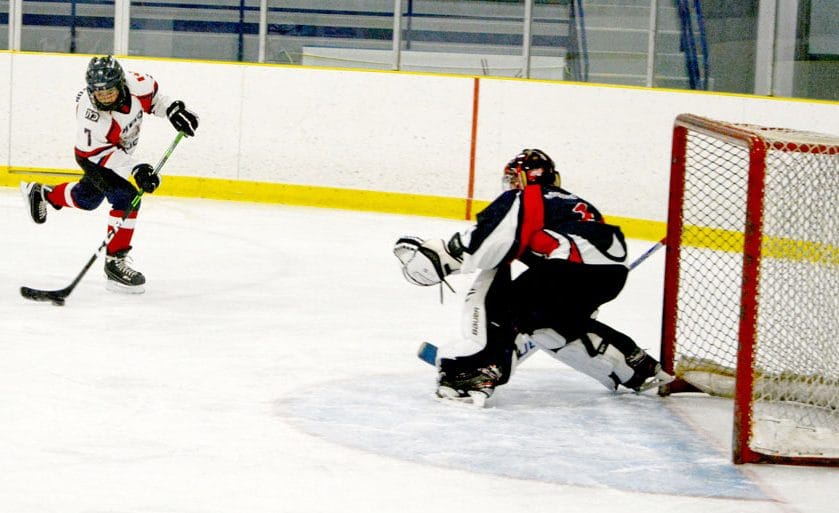 Drayton, Minto minor hockey associations ponder amalgamation