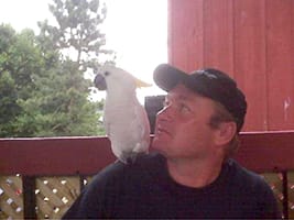 WILSON, Steven