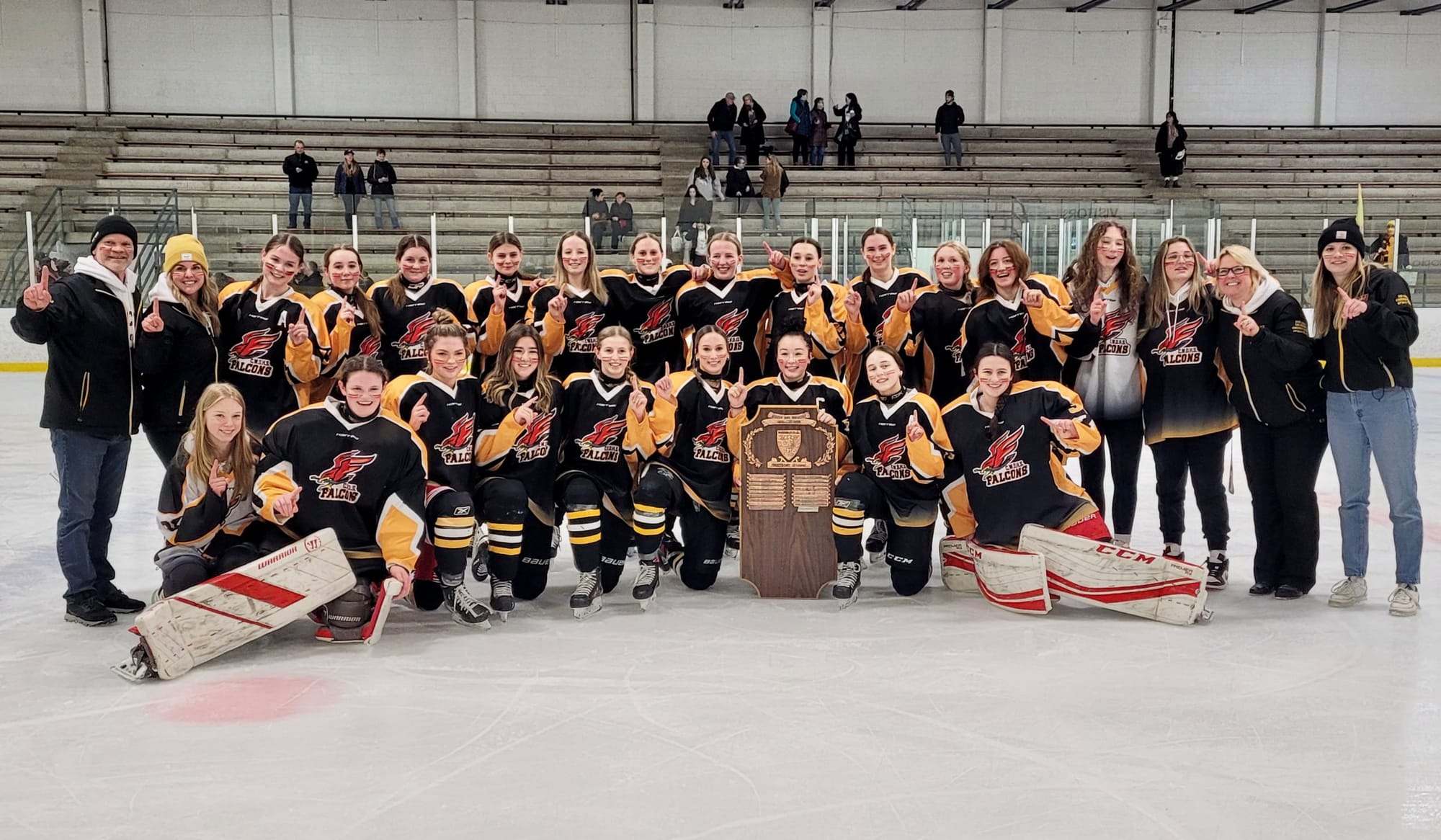 CWDHS girls hockey team wins District 10 championship