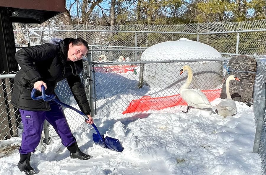 Residents dig out from March 3/4 storm