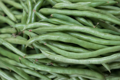 Mount Forest Community Garden will let residents grow own food