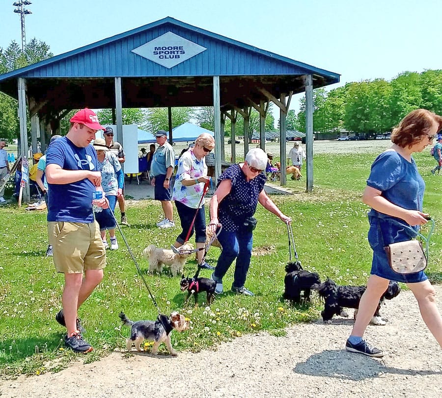 Walk for Guide Dogs in Fergus