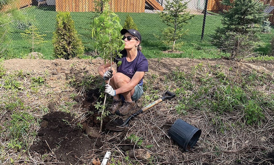 Community volunteers come out for two weekends of tree planting