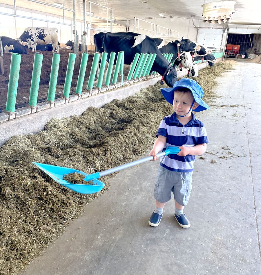 Taste Real Spring Rural Romp highlights local county lifestyle