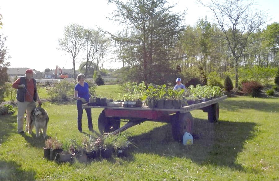 Successful plant sale fundraiser for the Mount Forest Horticultural Society